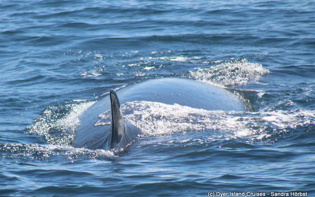 WhatsApp_Image_2023_02_07_at_15.30.27_1__1675779549