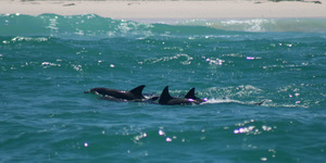 WhatsApp_Image_2023_02_07_at_15.30.27_2__1675779531