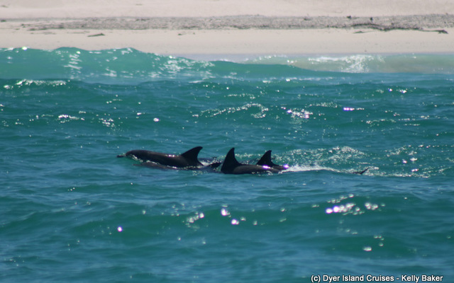 WhatsApp_Image_2023_02_07_at_15.30.27_2__1675779531