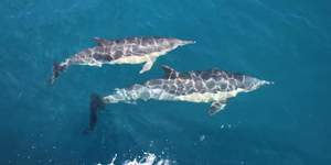 WhatsApp_Image_2023_02_07_at_15.30.28_1675779530