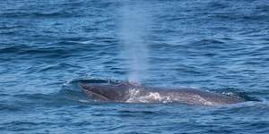 WhatsApp_Image_2023_02_07_at_15.30.28_1__1675779530