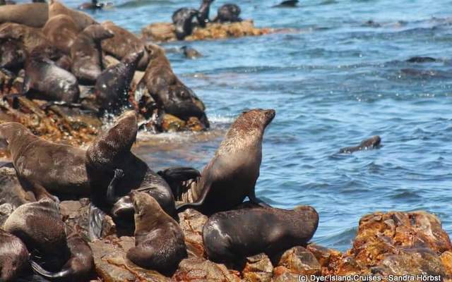 WhatsApp_Image_2023_02_07_at_15.30.28_2__1675779529