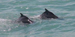 WhatsApp_Image_2023_02_07_at_15.30.28_3__1675779528