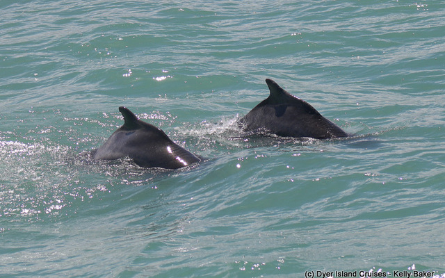 WhatsApp_Image_2023_02_07_at_15.30.28_3__1675779528