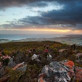  Rocky Sunset in Gansbaai