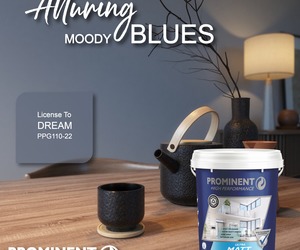 Prominent Paints:Â Moody Blue
