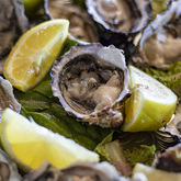 Oysters - Quayside Cabin - Xplorioâ„¢ Hermanus