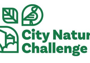 City Nature Challenge 2023: Overberg