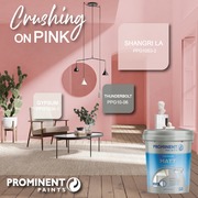 Prominent Paints: Pink Shade