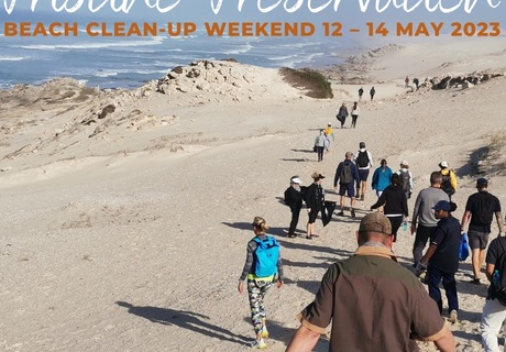 Pristine Preservation: Beach Clean-up - 50% OFF Normal Rates