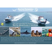 Next Marine Dynamics Shark Cage Diving Trip: 15 February 2023
