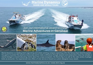 Next Dyer Island Marine Big 5 Tour: 15 February 2023