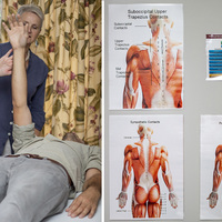 Best Therapy - Sue Leppan Transformation Coach - Xplorioâ„¢ Hermanus