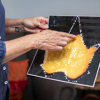 Holistic Wellness - Sue Leppan Transformation Coach - Xplorioâ„¢ Hermanus