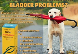 Eco-Bladder: Bladder ProblemsÂ (Animals)