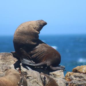 WhatsApp_Image_2023_02_17_at_13.27.32_1__1676637044