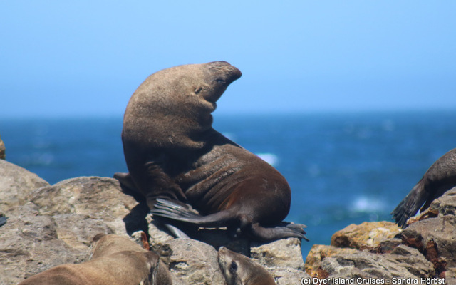 WhatsApp_Image_2023_02_17_at_13.27.32_1__1676637044