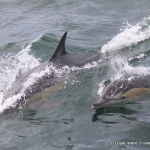 WhatsApp_Image_2023_02_17_at_13.27.33_1676637044