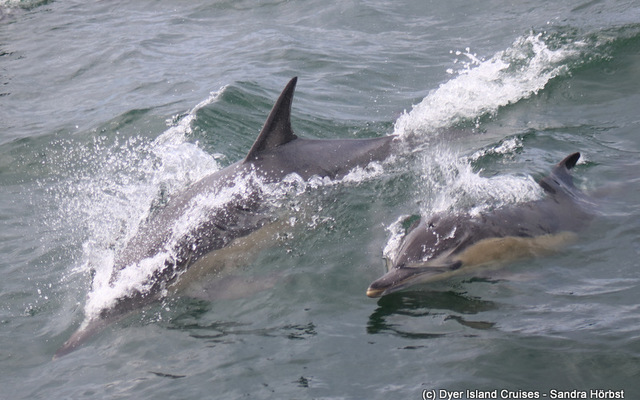 WhatsApp_Image_2023_02_17_at_13.27.33_1676637044