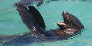 WhatsApp_Image_2023_02_17_at_13.27.35_2__1676637046