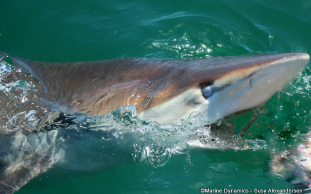 WhatsApp_Image_2023_02_17_at_13.27.35_3__1676637045