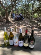 Wine Tour Review fromÂ Patricia Menge atÂ Lomond Wine Estate