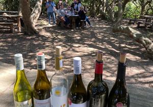 Wine Tour Review fromÂ Patricia Menge atÂ Lomond Wine Estate