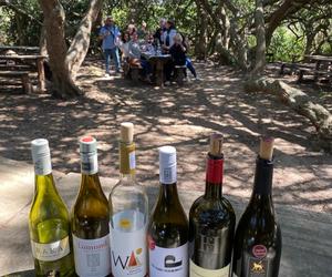 Wine Tour Review fromÂ Patricia Menge atÂ Lomond Wine Estate