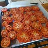 Garden - Foxy House - Xplorioâ„¢ Gansbaai