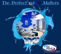 Colour Matters: The Power of Paint