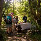 Picnic Lunches - The Fynbos Trail - Xplorioâ„¢ Gansbaai