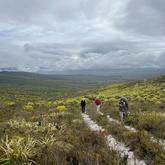 Hiking - The Fynbos Trail - Xplorioâ„¢ Gansbaai