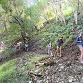 Hiking - The Fynbos Trail - Xplorioâ„¢ Gansbaai