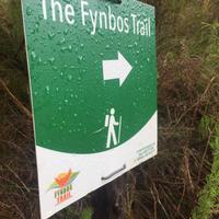 Hiking - The Fynbos Trail - Xplorioâ„¢ Gansbaai