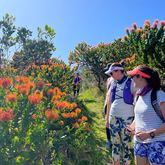 Hiking - The Fynbos Trail - Xplorioâ„¢ Gansbaai