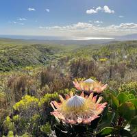 Hiking - The Fynbos Trail - Xplorioâ„¢ Gansbaai