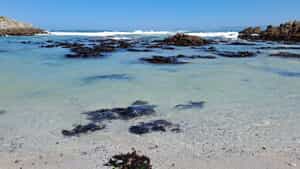 Our Beautiful Coastline