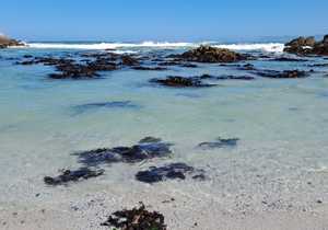 Our Beautiful Coastline