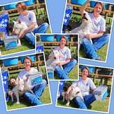 Dog Training - AdÃ©l Dog Training - Xplorioâ„¢ Bredasdorp