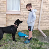 Dog Training - AdÃ©l Dog Training - Xplorioâ„¢ Bredasdorp