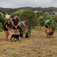 Dog Training - AdÃ©l Dog Training - Xplorioâ„¢ Bredasdorp