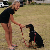 Dog Training - AdÃ©l Dog Training - Xplorioâ„¢ Bredasdorp