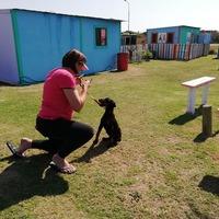 Dog Training - AdÃ©l Dog Training - Xplorioâ„¢ Bredasdorp