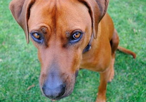 One Thing Leads to Another