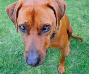 One Thing Leads to Another