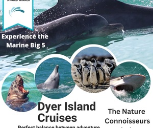 Next Dyer Island Marine Big 5 Tour: 3 March 2023