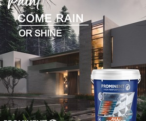 All Seasons Paint