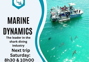 Next Marine Dynamics Shark Cage Diving Trip: 4 March 2023