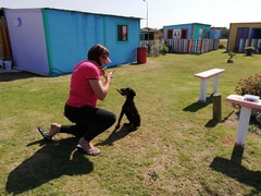 Basic Home Obedience - Level 1