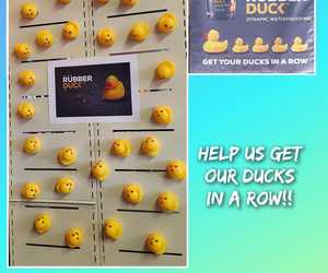 WIN x2 20LÂ Promac Rubber Duck Liquid Rubber